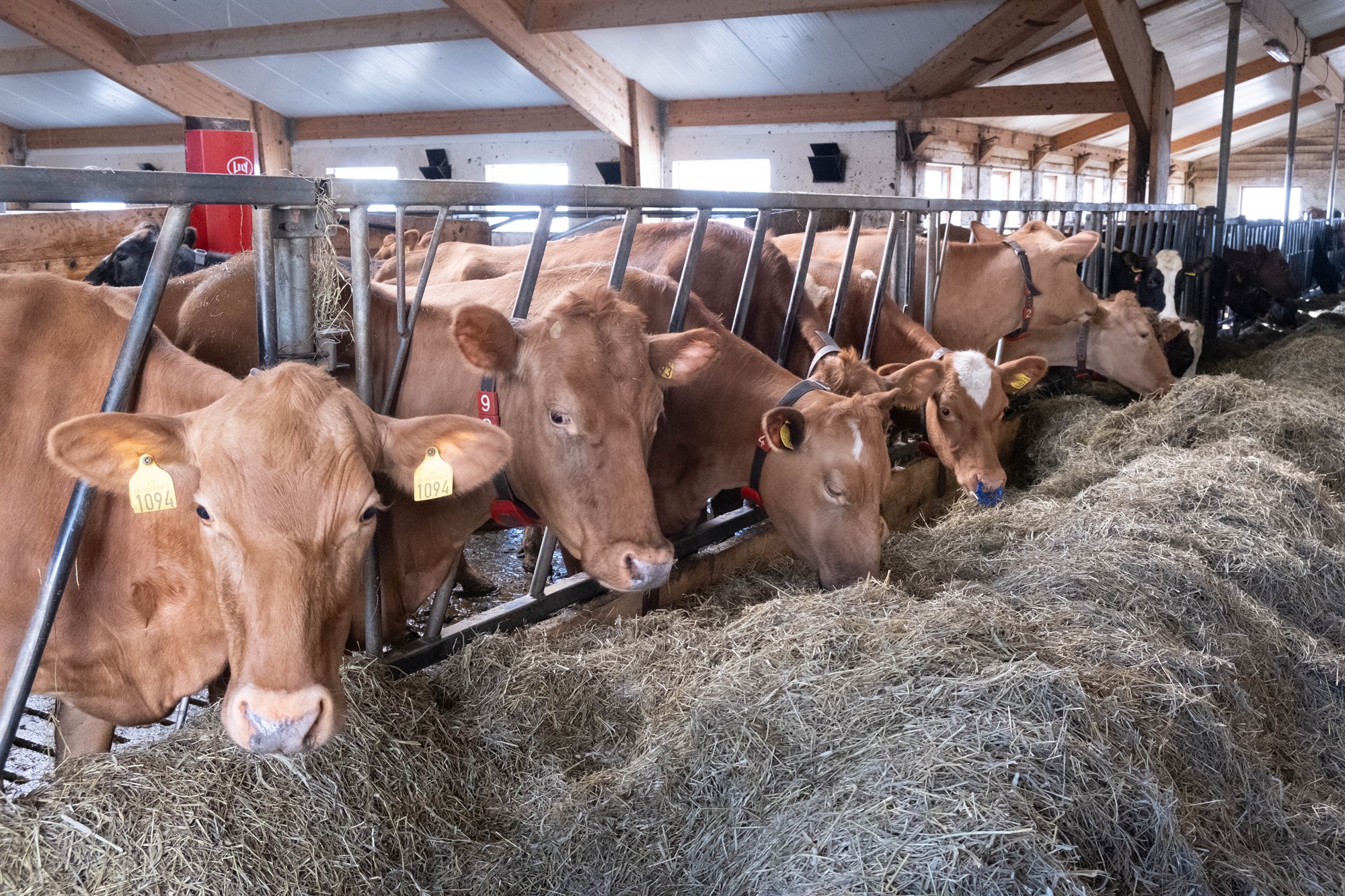 Mest fer á Vesturland