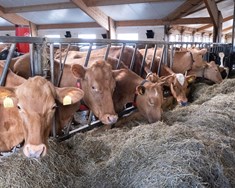 Tap rúmar 12 krónur á lítrann