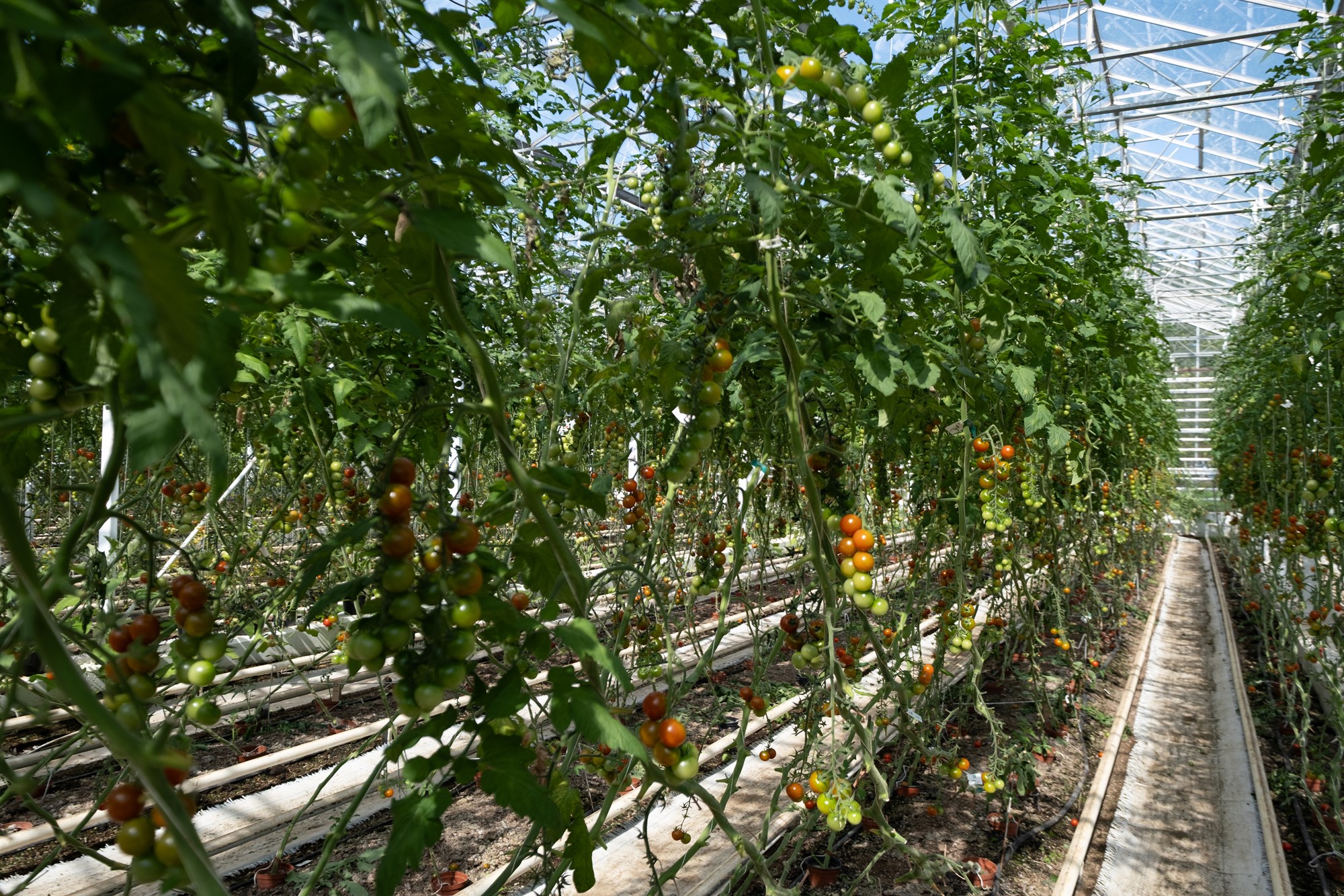 Vanburða innviðir hringrásarhagkerfis