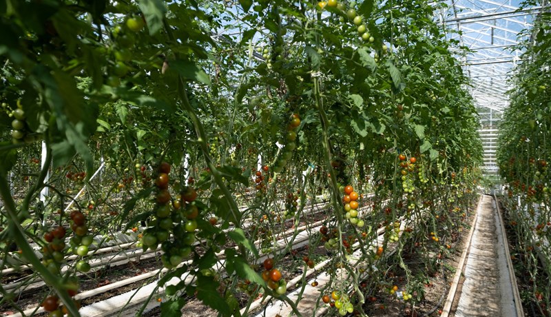 Vanburða innviðir hringrásarhagkerfis