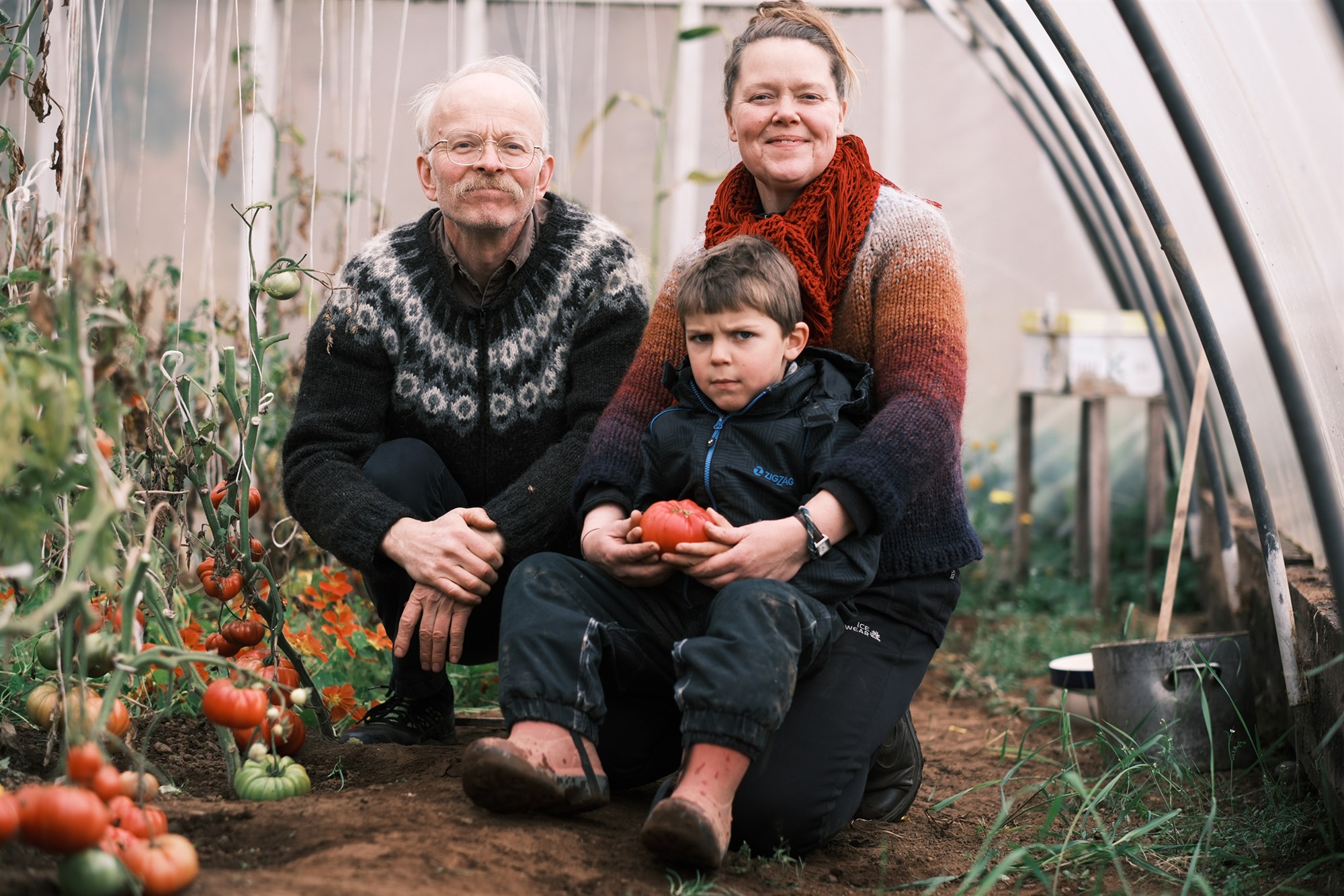 Gómsæt og kuldaþolin tómatayrki