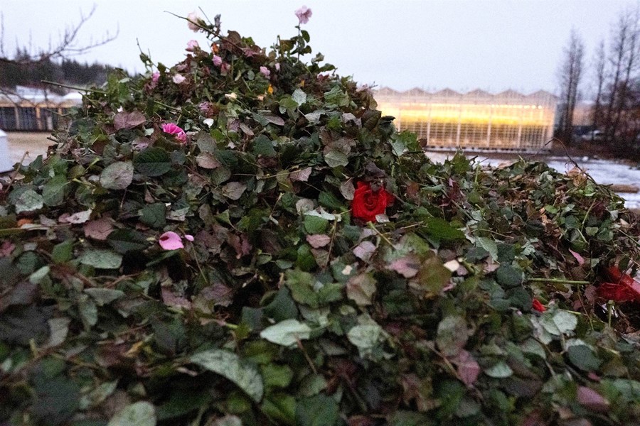 Úrgang skal færa til viðeigandi meðhöndlunar