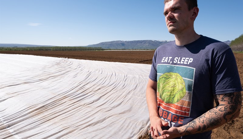 Tuttugu prósent framleiðsluaukning á ári