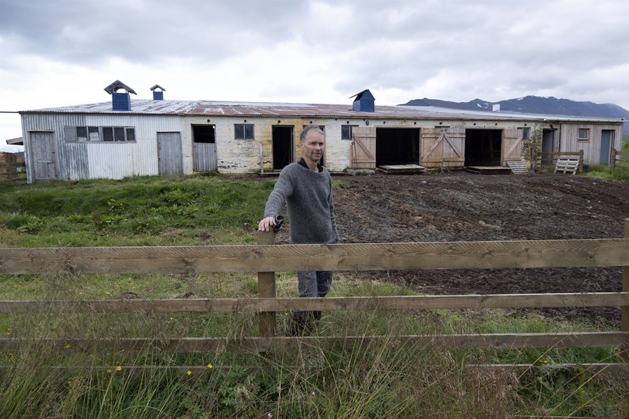 Endurbætur hafa staðið yfir á fjárhúsunum og þau aðlöguð að mjólkurframleiðslu. 