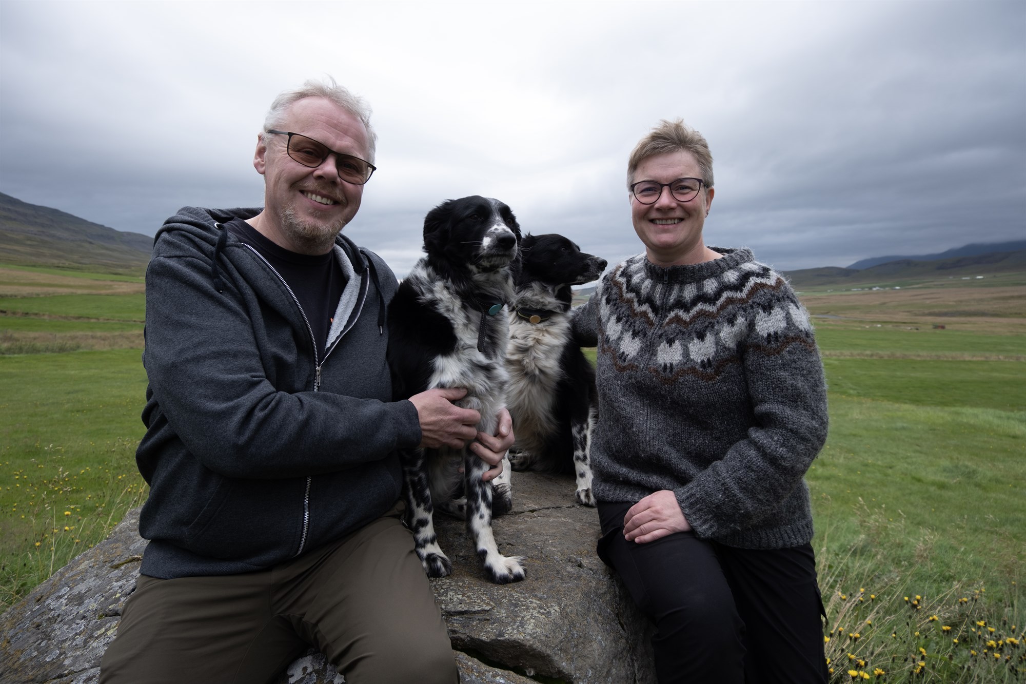 Anna ekki eftirspurn eftir lífrænt vottuðu lambakjöti