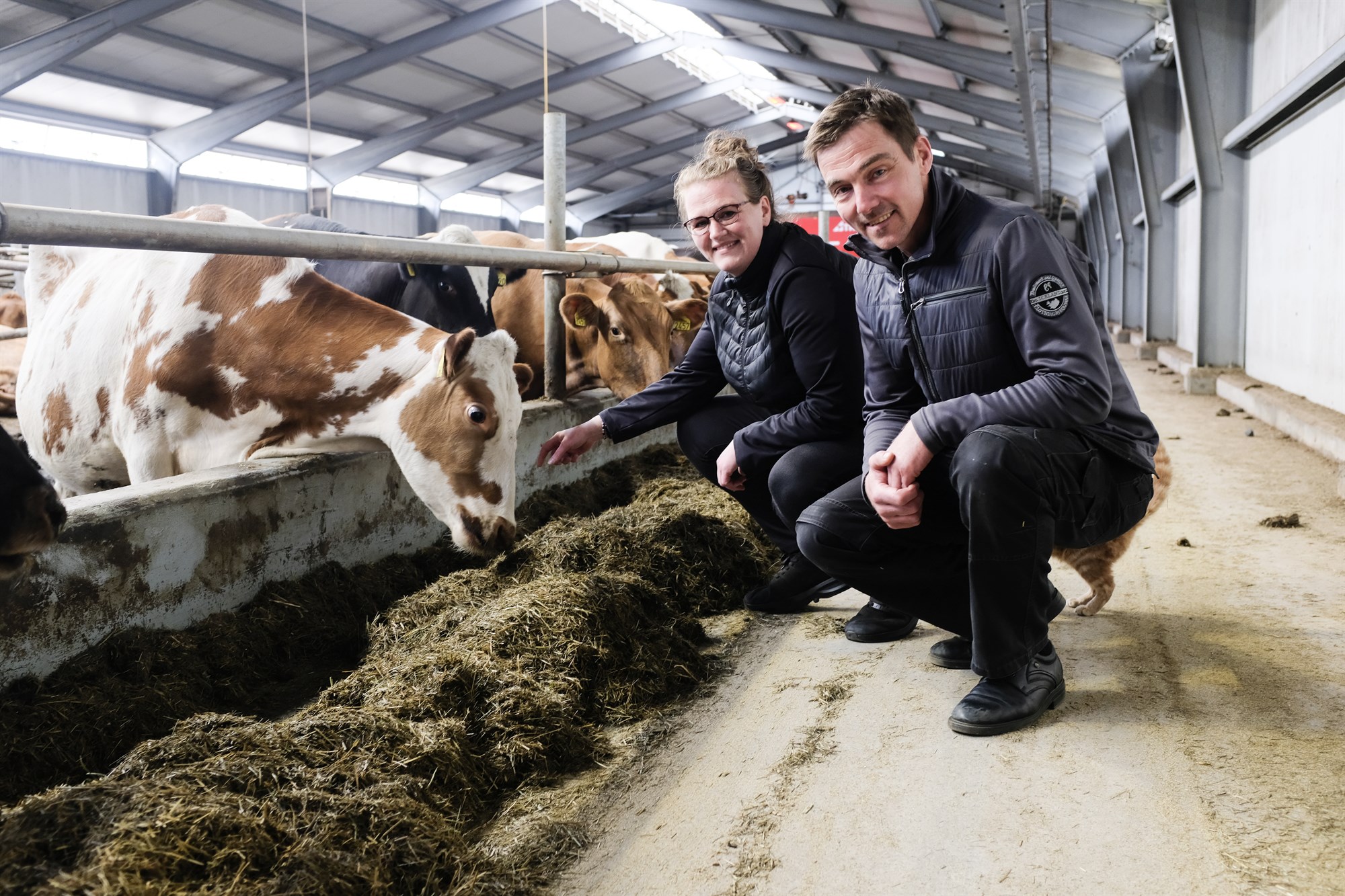 Lambhagabændur rýna í einstaka þætti búrekstrarins