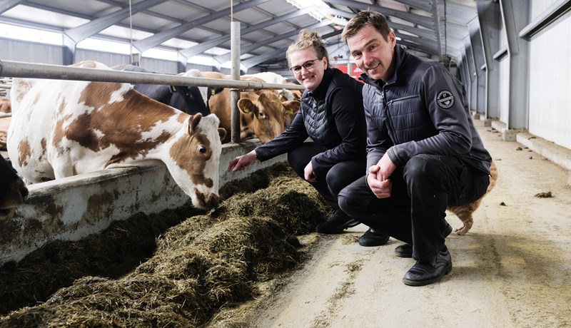 Lambhagabændur rýna í einstaka þætti búrekstrarins