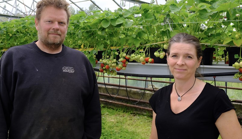 Mest gefandi að rækta fyrir fólkið sem við erum í beinum samskiptum við