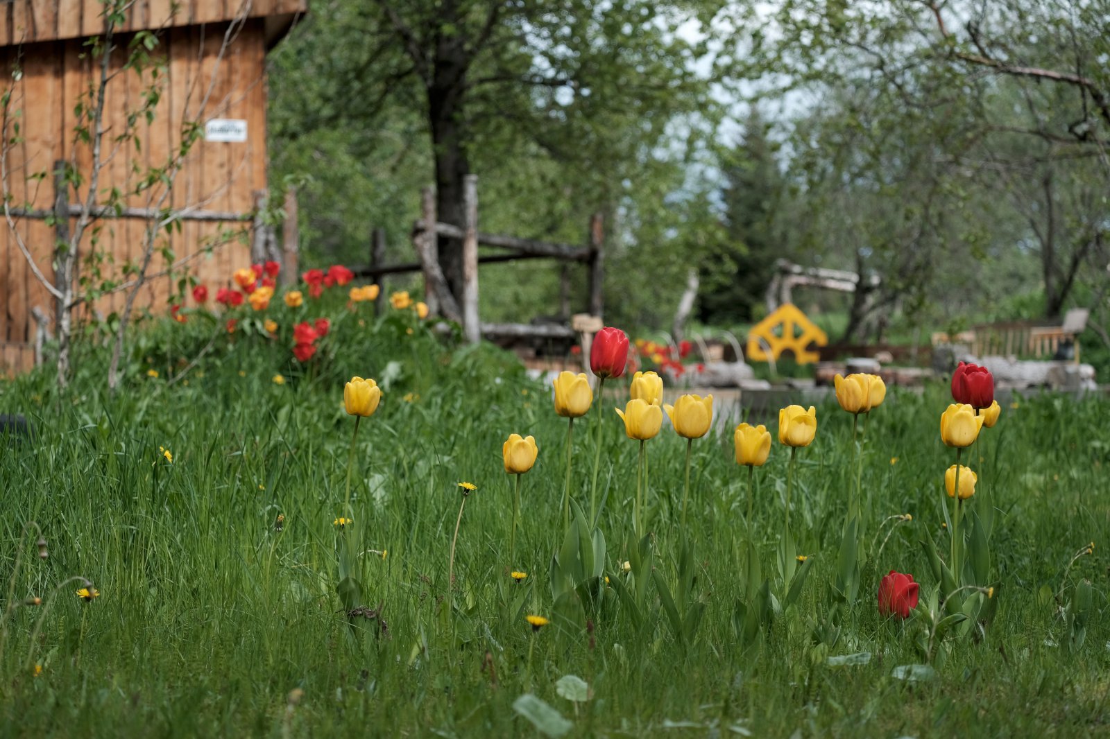 Hugmyndir um búseturúrræði til sveita fyrir eldri borgara ræddar