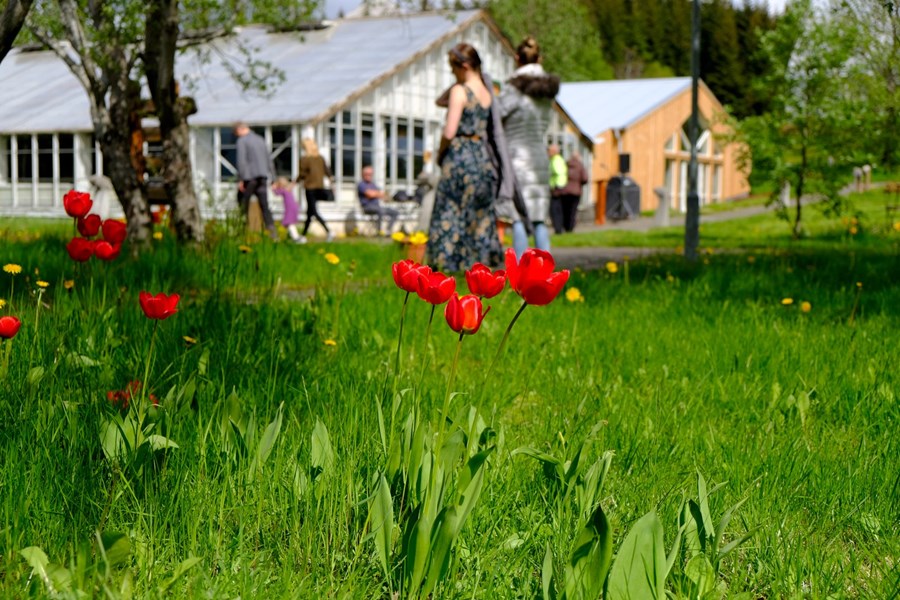 Frá Sólheimum sem Árni hugsar sér sem ákveðna fyrirmynd.