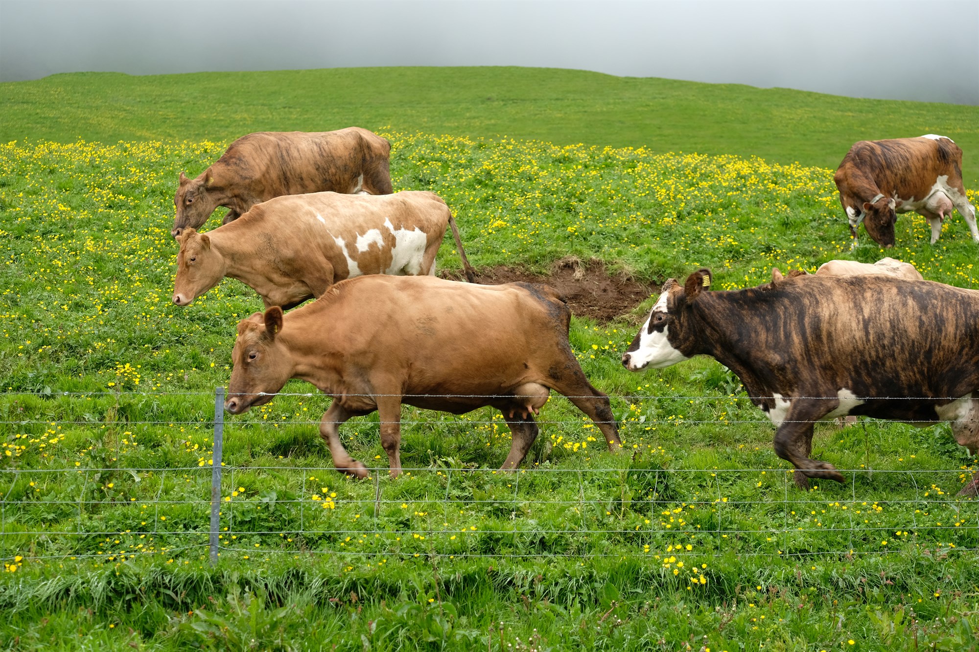 Vinna á lokametrunum