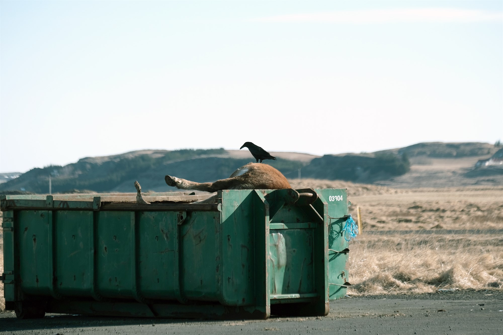 Uppbygging á vinnslustöð fyrir dýrahræ í efsta áhættuflokki