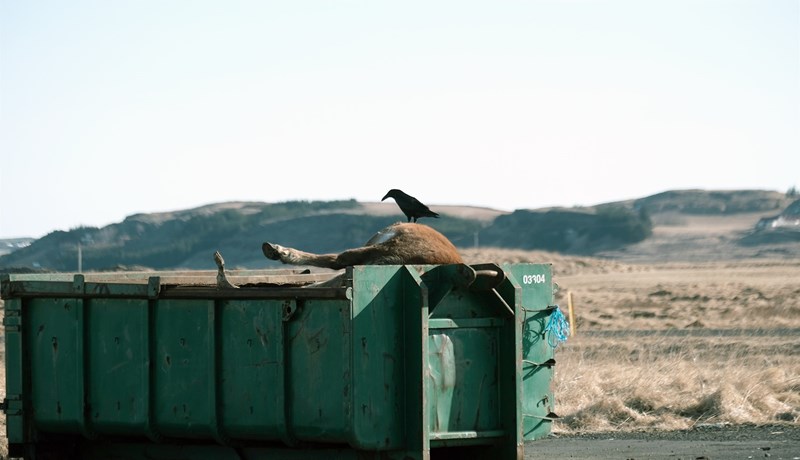 Uppbygging á vinnslustöð fyrir dýrahræ í efsta áhættuflokki