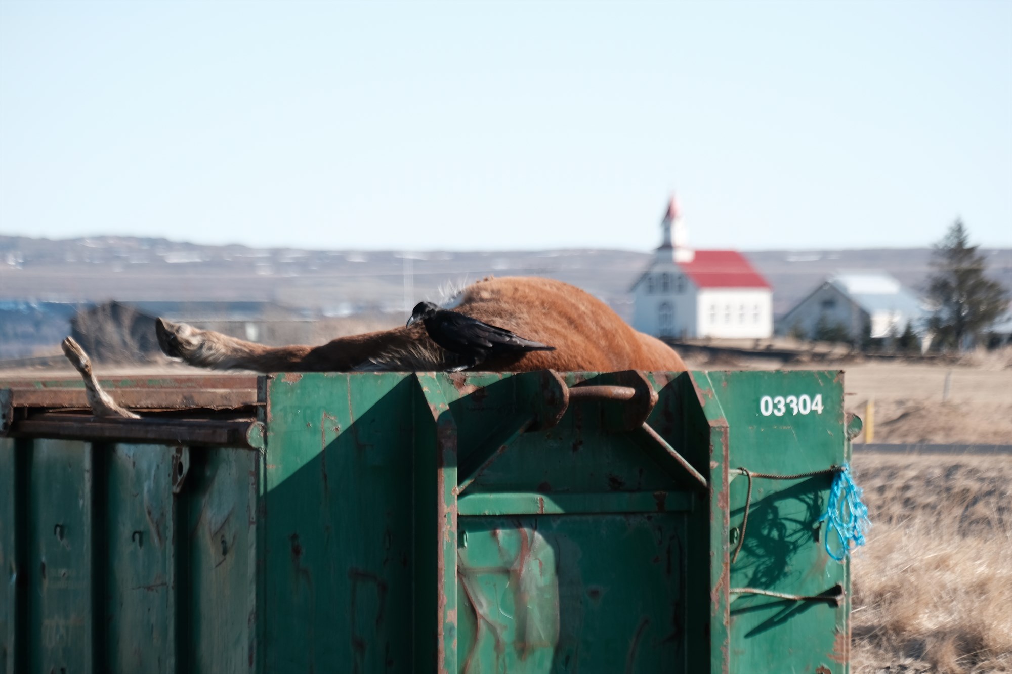 Deilt um gjaldtöku vegna meðhöndlunar á dýrahræjum