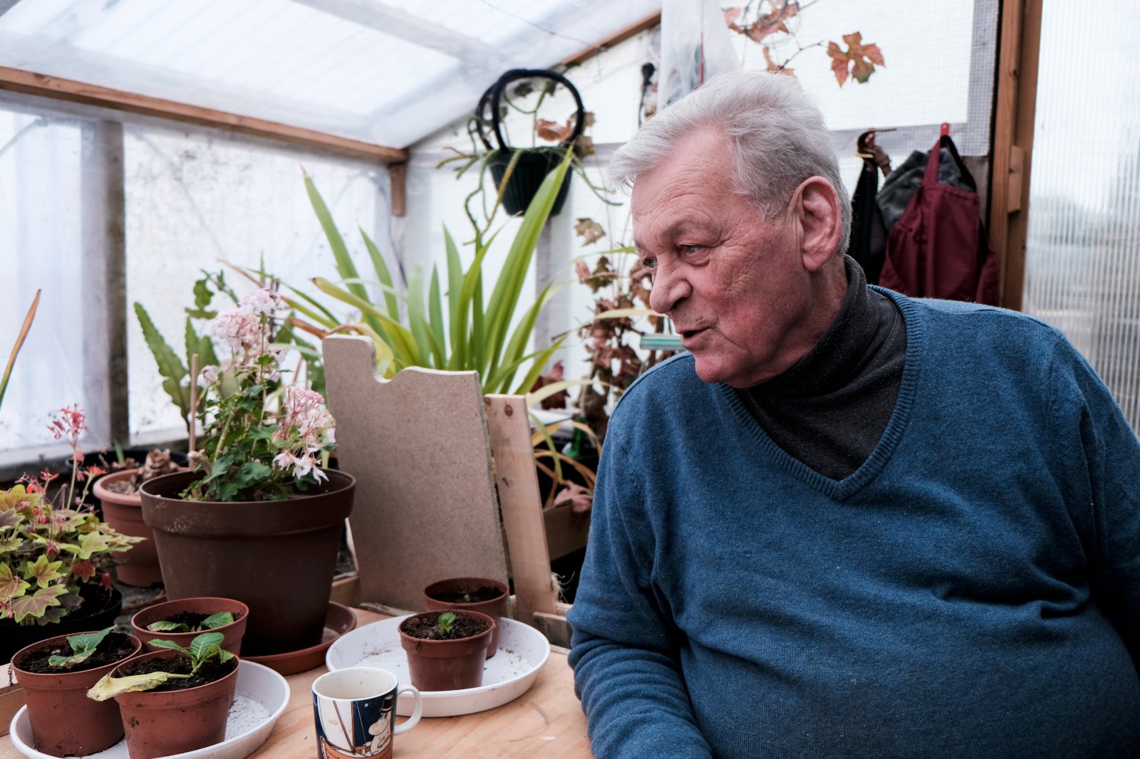 Þurfum að koma okkur upp hagkvæmri skógarauðlind