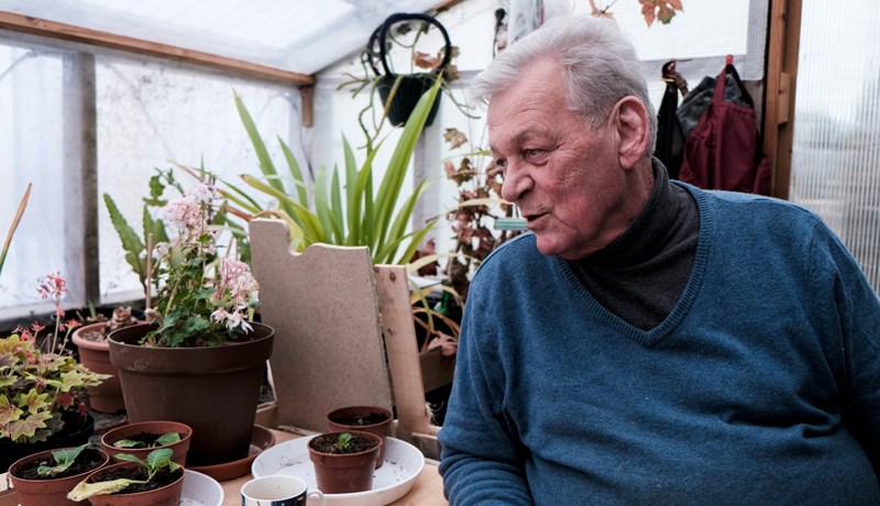 Þurfum að koma okkur upp hagkvæmri skógarauðlind