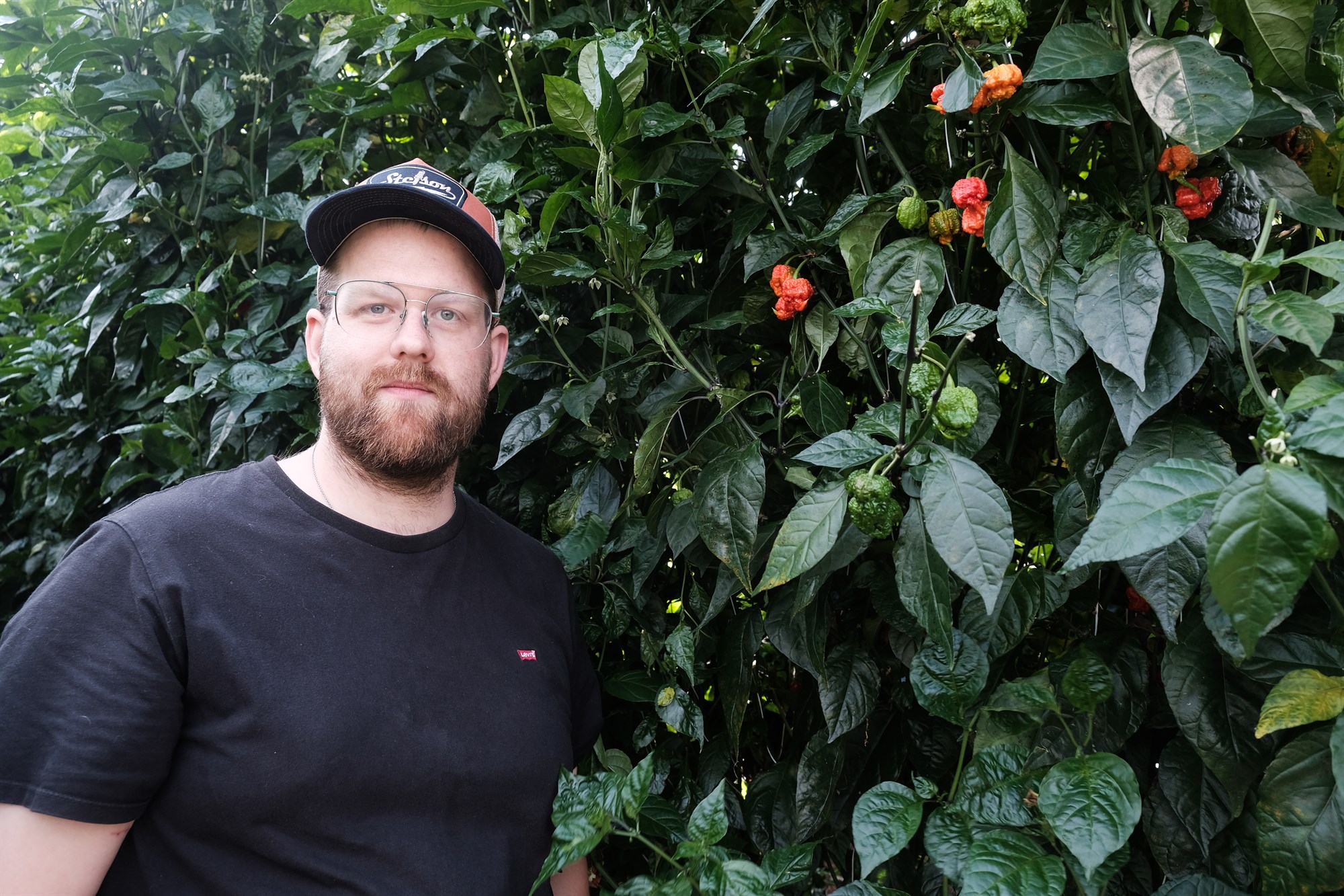 Grasrót garðyrkjunnar vanrækt