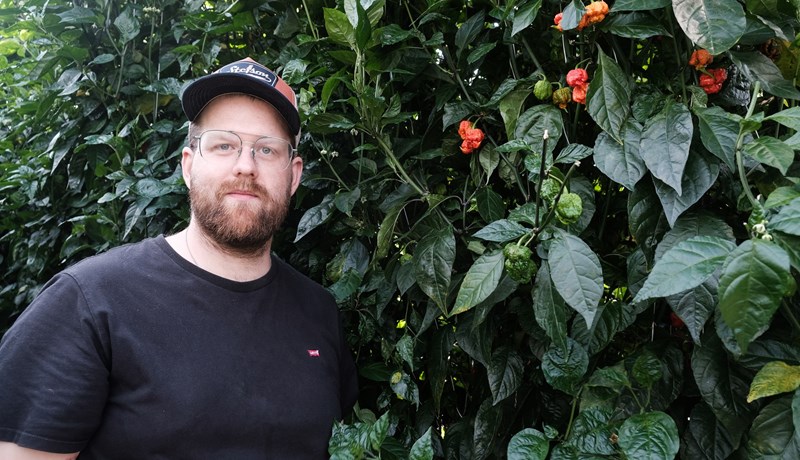 Grasrót garðyrkjunnar vanrækt