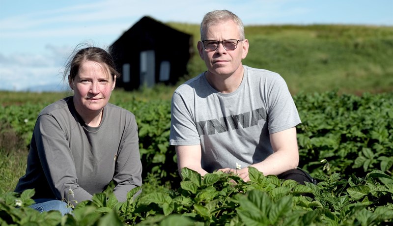 Útlit fyrir sæmilega kartöfluuppskeru