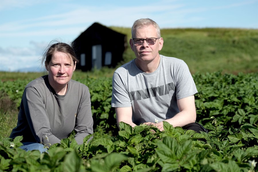 Lilja Guðnadóttir og Guðni Þór Guðjónsson, kartöflubændur í Hrauk í Þykkvabænum. Um 70 prósent af allri kartöfluuppskeru í landinu kemur úr Þykkvabæ þar sem um tíu ræktendur eru enn eftir. Í fyrra uppskáru þau um 750 tonn en reikna með minni uppskeru í haust, bæði vegna þess að færri hektarar voru undir og eins hefur tíðarfar verið fremur óhagstætt. Í gegnum tíðina hefur gengið nokkuð vel í búskapnum hjá þeim og þau kvarta ekki yfir afkomunni.