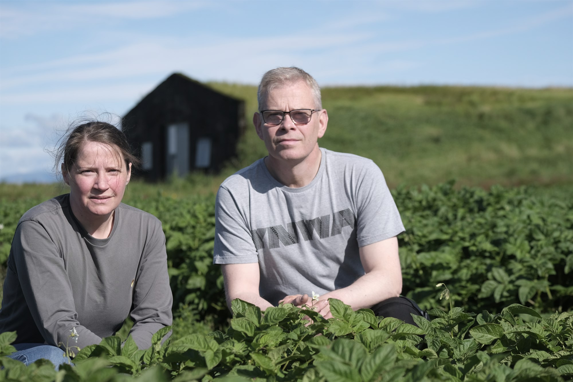 Hvíla þarf kartöflugarða í Þykkvabænum í þrjú ár