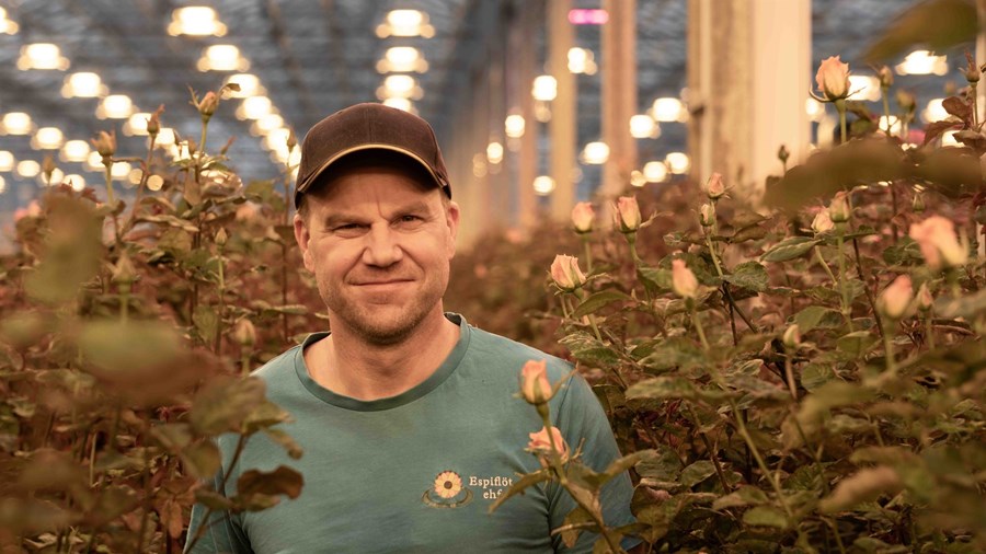 Axel Sæland, formaður garðyrkjudeildar Bændasamtaka Íslands