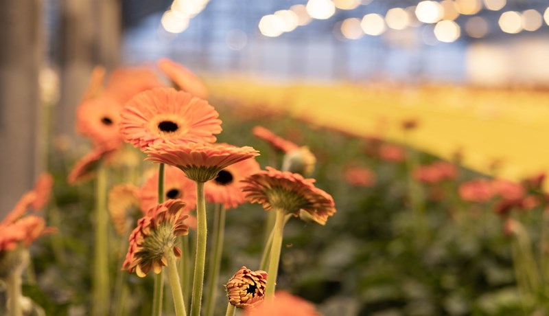 Fjárfestum í landbúnaði