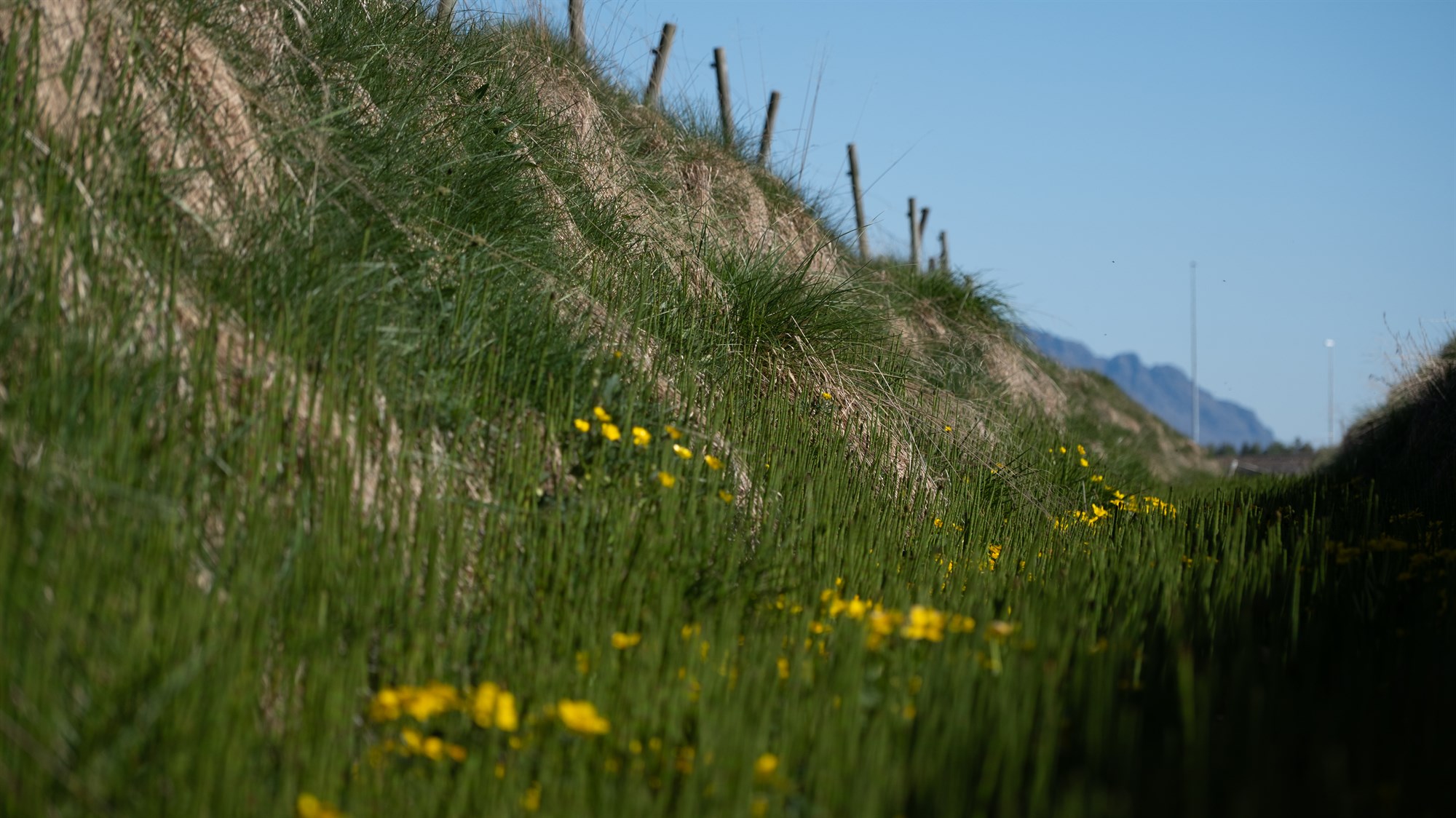 Ábyrgð og tækifæri bænda í landnotkun