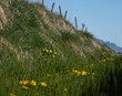 Ábyrgð og tækifæri bænda í landnotkun