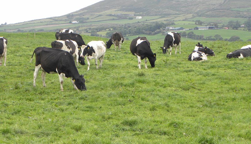Rangt að SÞ leggi áherslu á samdrátt í kjöt- og mjólkurframleiðslu