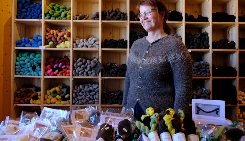 Framlag Íslands var meðal annars myndband um hvernig garn verður til