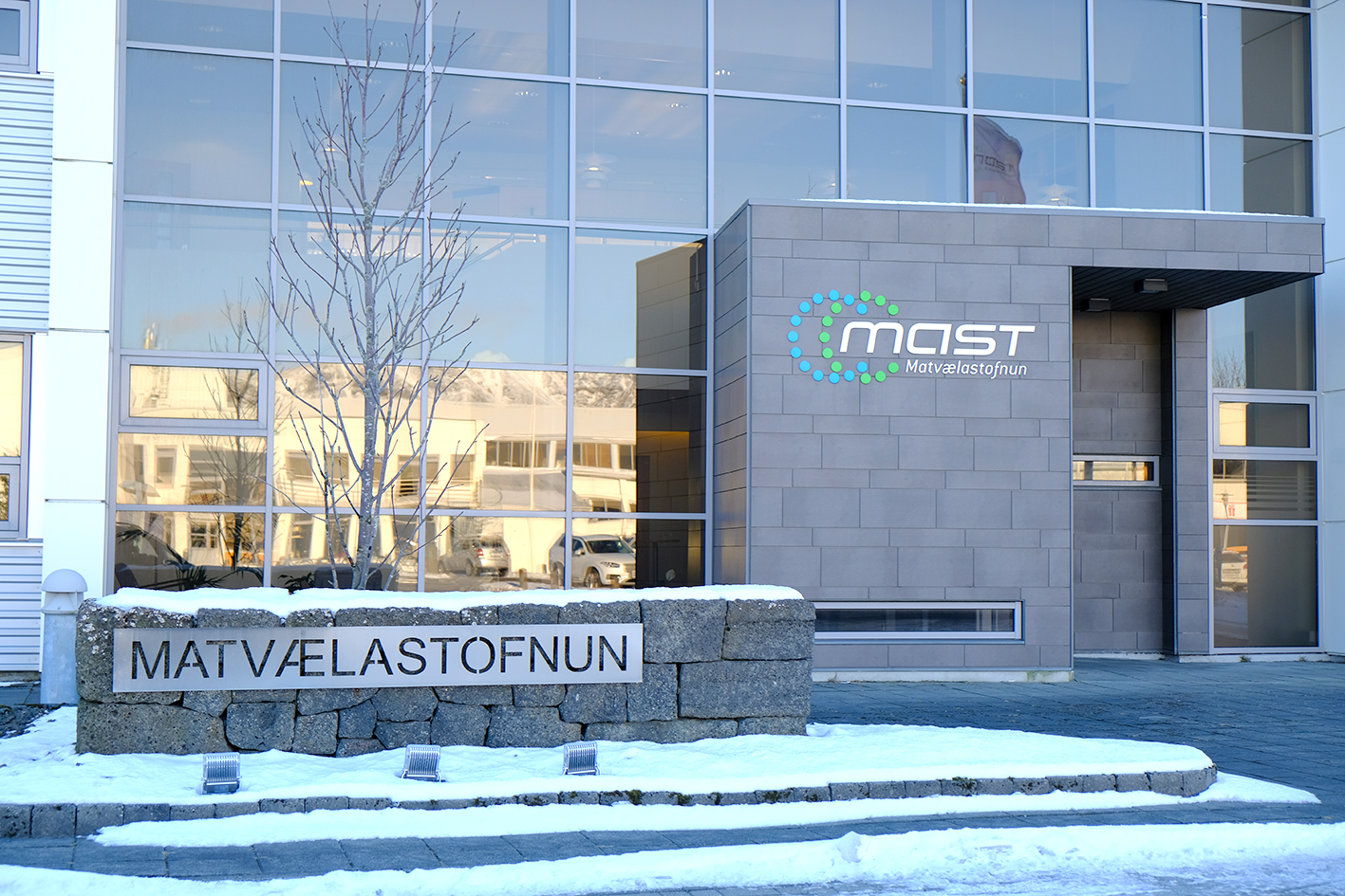 Seinagangur varðandi birtingu fundargerða og afgreiðslu mála