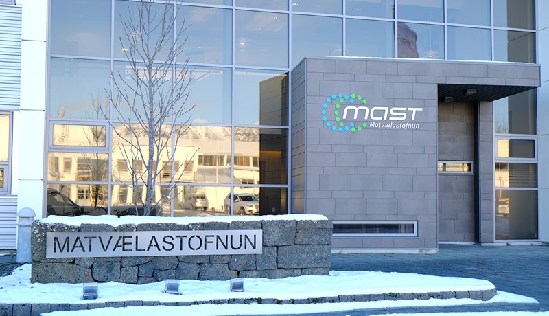 Seinagangur varðandi birtingu fundargerða og afgreiðslu mála