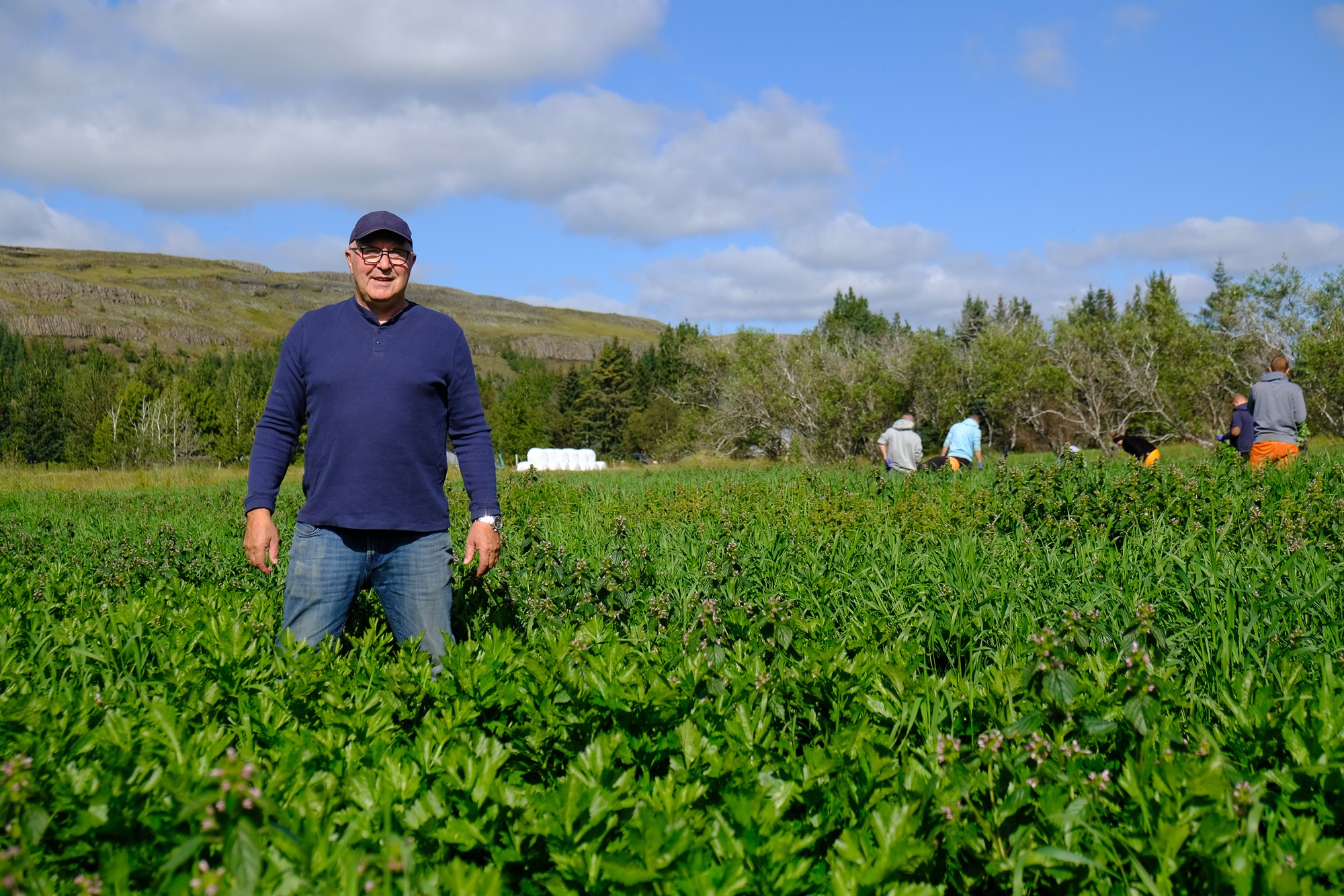 Bændasamtök Íslands mótmæla fullyrðingum ráðherra í „sellerímálinu“