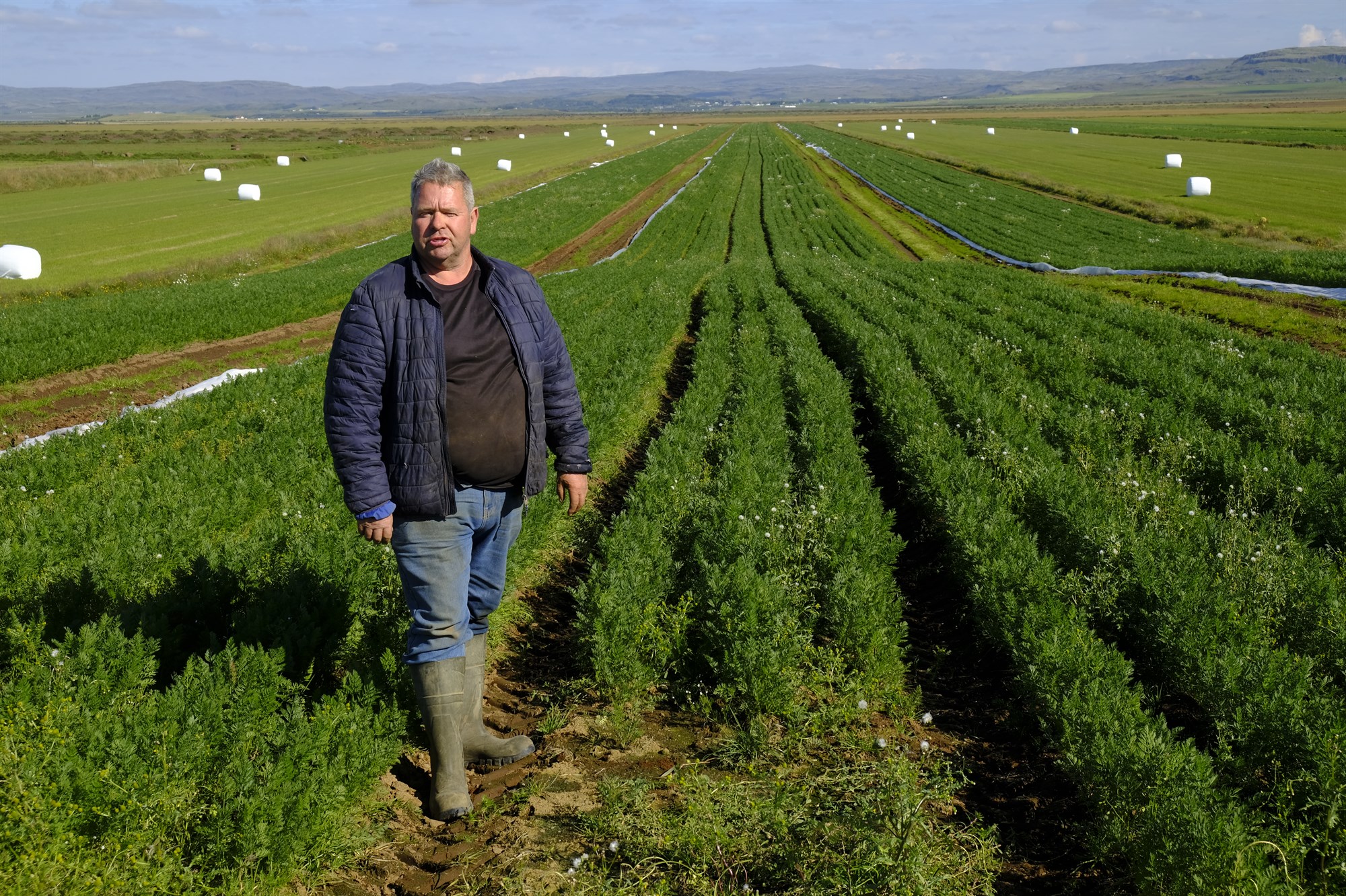 Stutt við nýjar ræktunaraðferðir í grænmetisframleiðslu