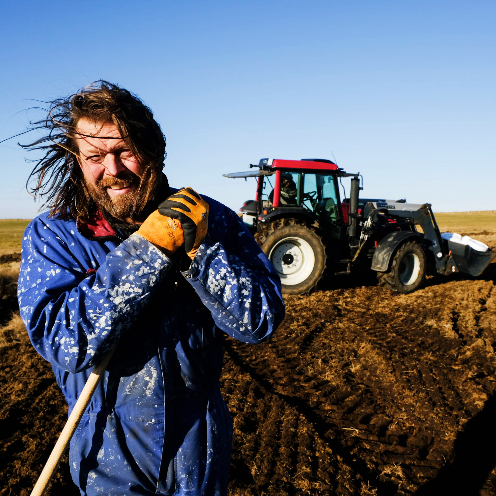 Fyrsti íslenski hvítlauksakurinn er á Efri-Úlfsstöðum í Austur-Landeyjum