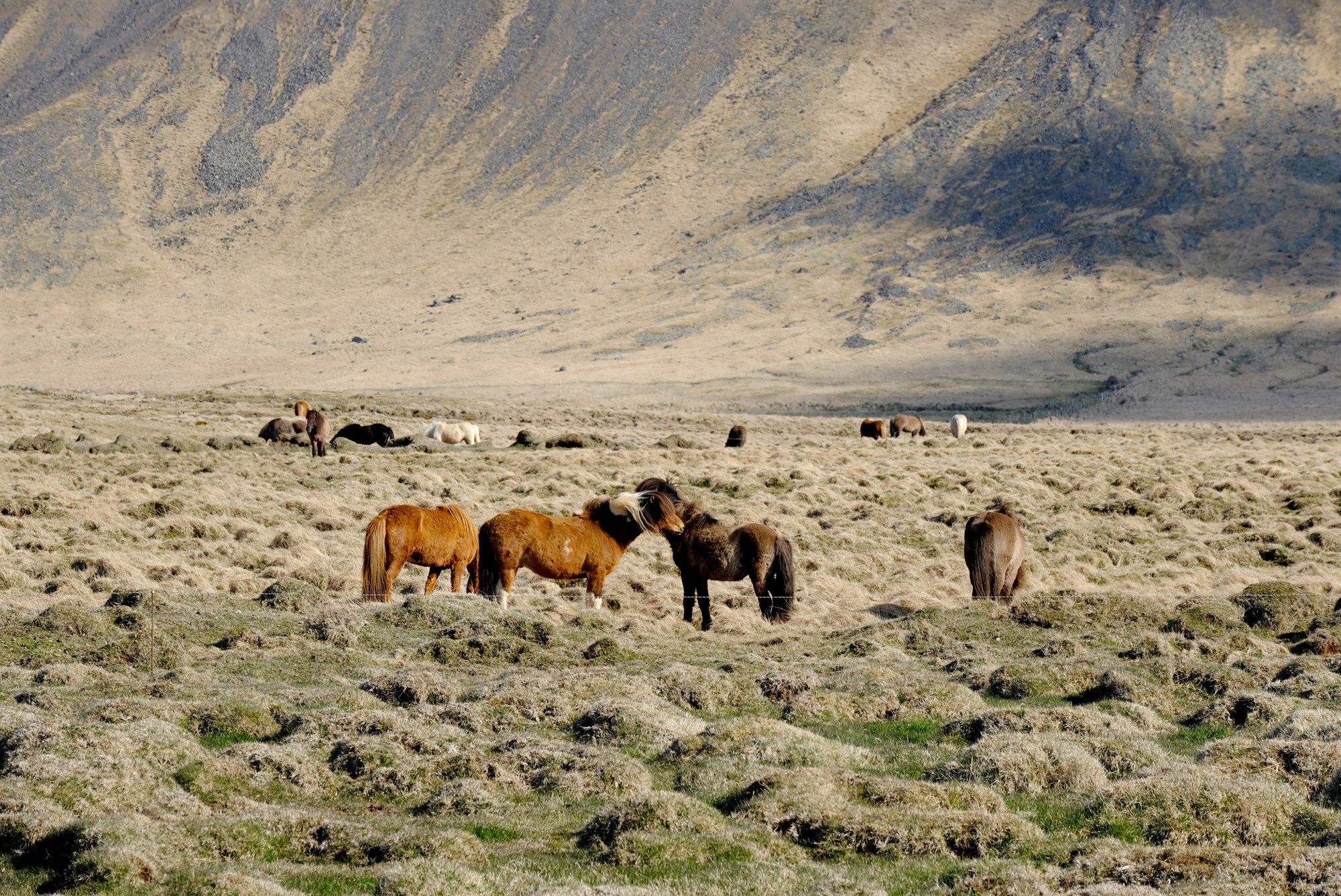 Mánaðarleg upplýsingagjöf