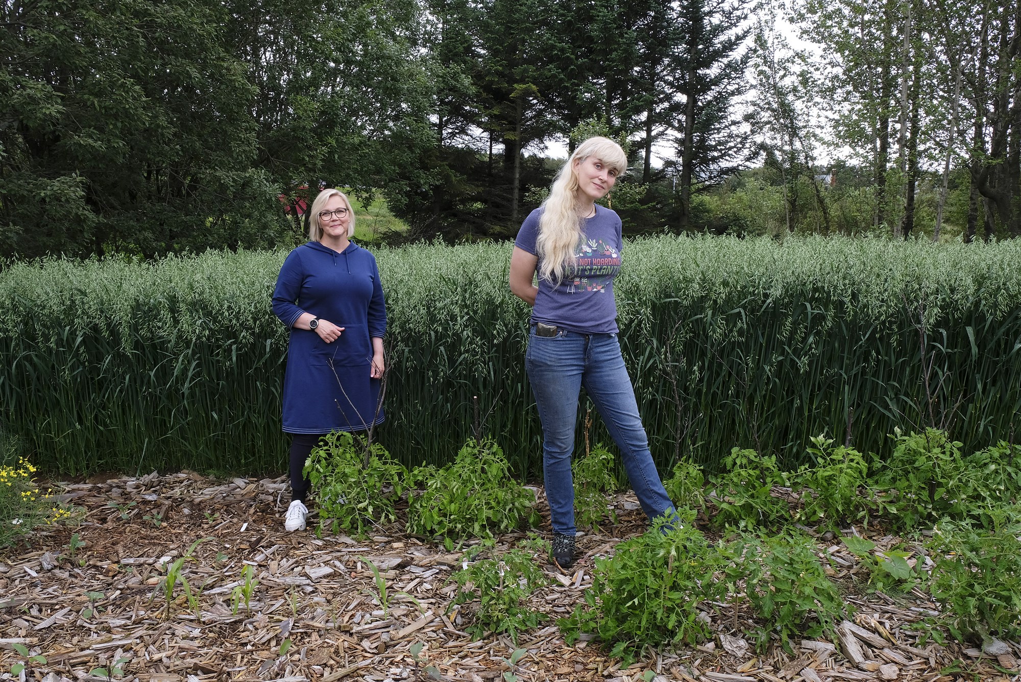 Affallsvatn í Elliðaárdal nýtt til tilraunaræktunar á matjurtum