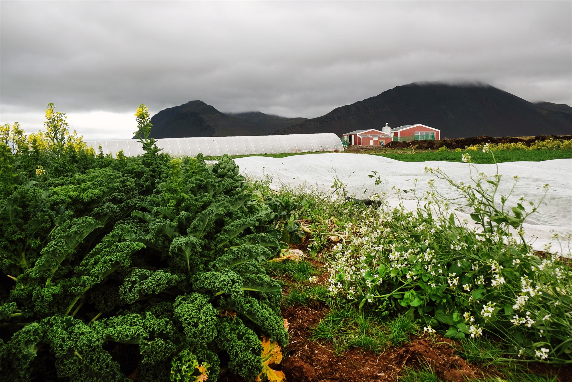 Fundu jarðnæði sem var ekki í boði í Sviss