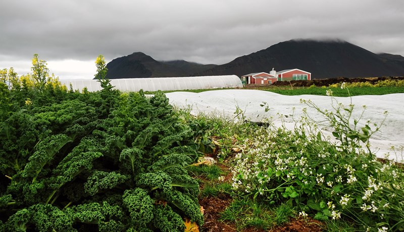 Fundu jarðnæði sem var ekki í boði í Sviss