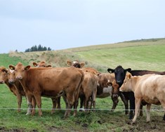 Nauðsynlegt að samningsmarkmið liggi skýrt fyrir