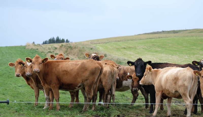 Nauðsynlegt að samningsmarkmið liggi skýrt fyrir