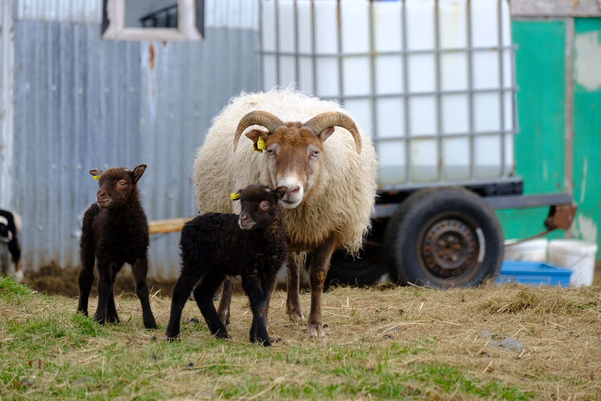 Endurnýting heimil til 1. nóvember 2025