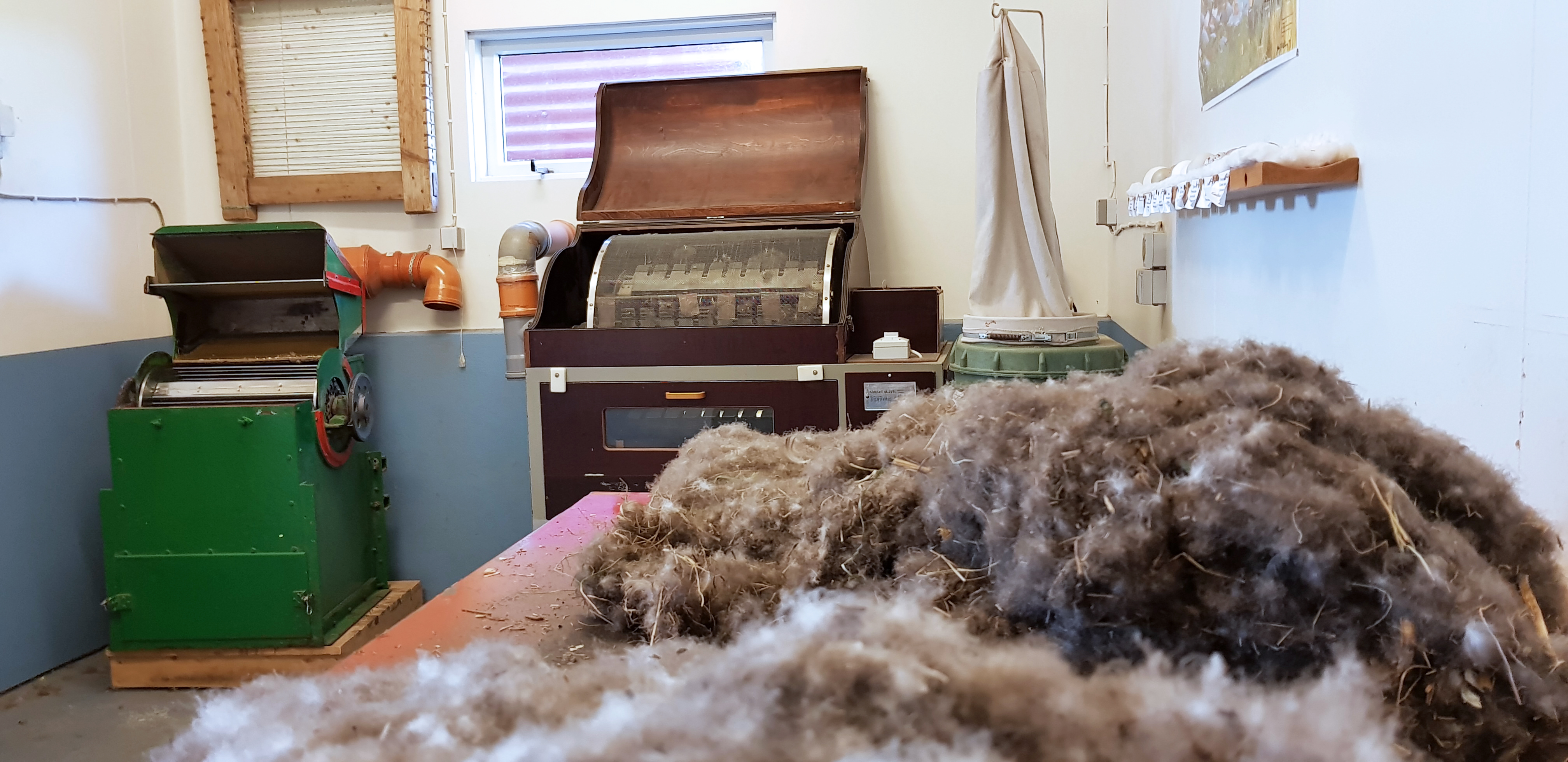 Misjöfn afkoma æðarbænda á landinu eftir sumarið