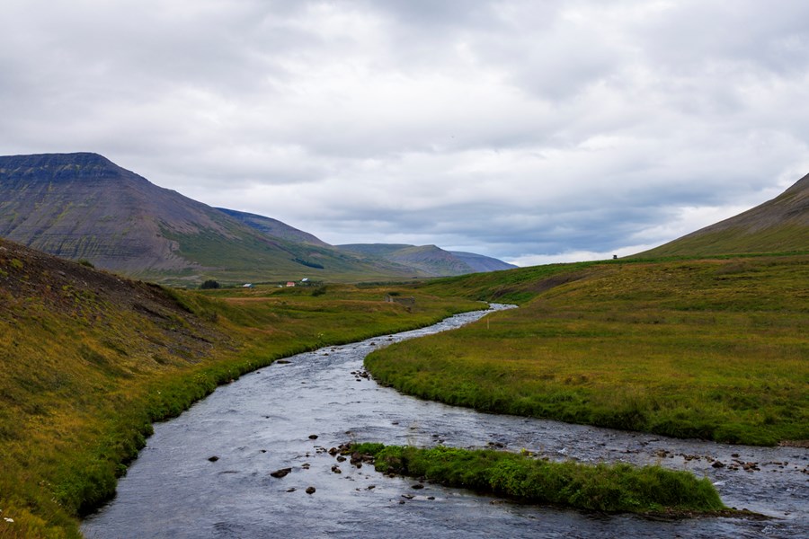 Núpsá skilur að jarðirnar Núp og Læk í Dýrafirði. HMS vinnur nú að því að áætla eignamörk þessara jarða og um 750 annarra á Vestfjörðum. Mynd tekin í ágúst á þessu ári. 