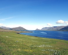 Reglulegar kvikmyndasýningar