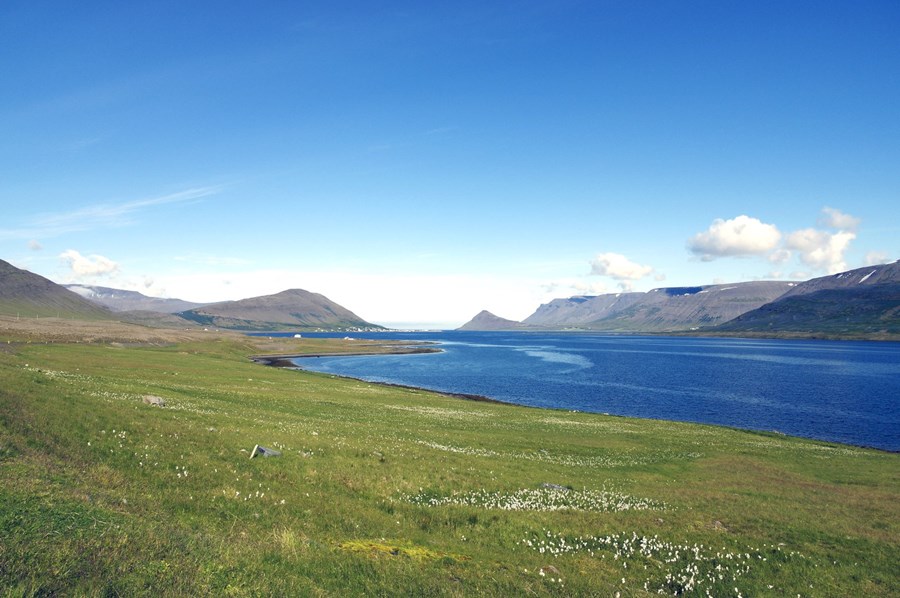 Dýrafjörður með Sandafell, Þingeyri og Mýrafell fyrir miðri mynd.