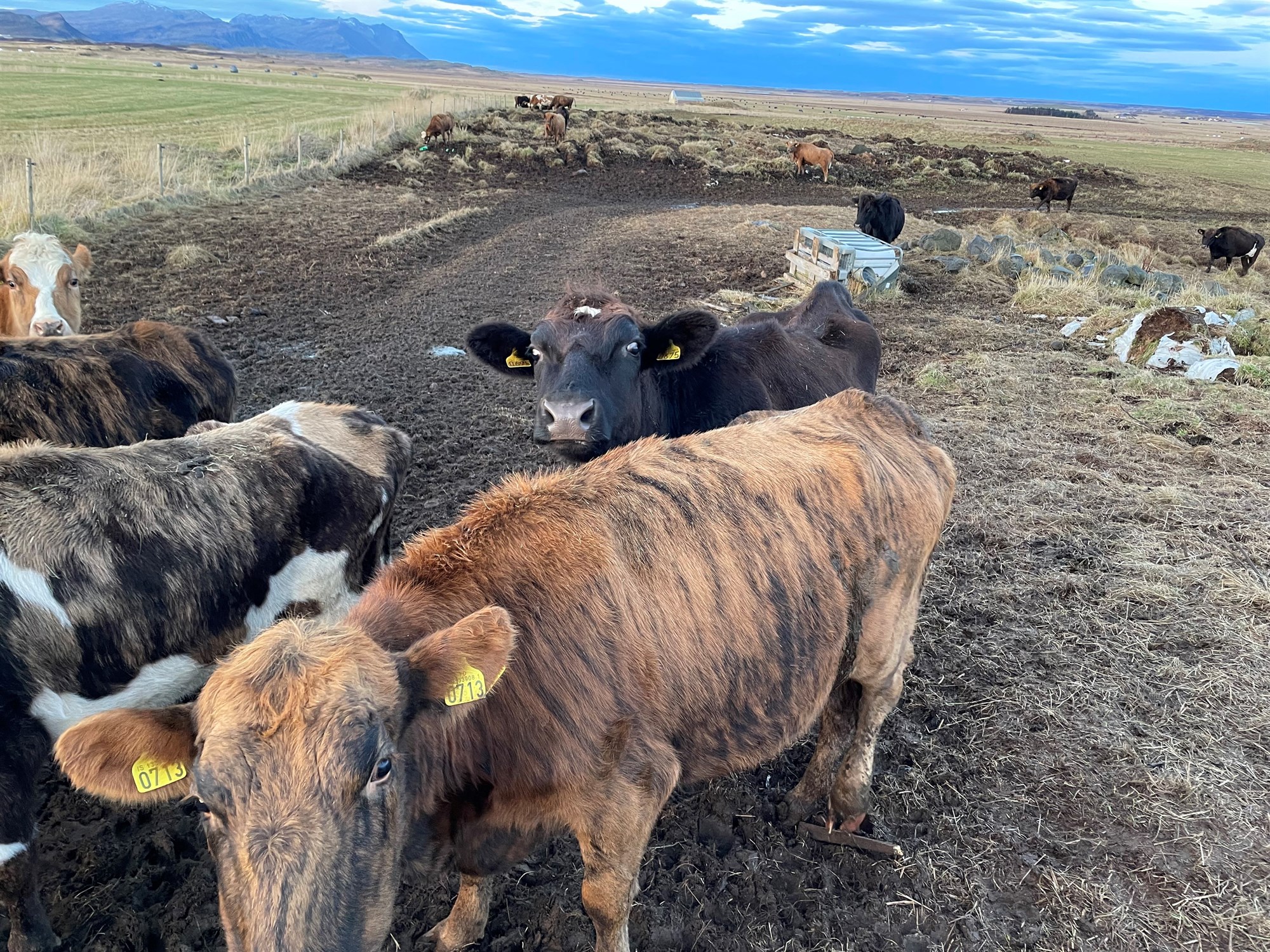 Tveir tengdir umráðamenn eiga hlut að máli