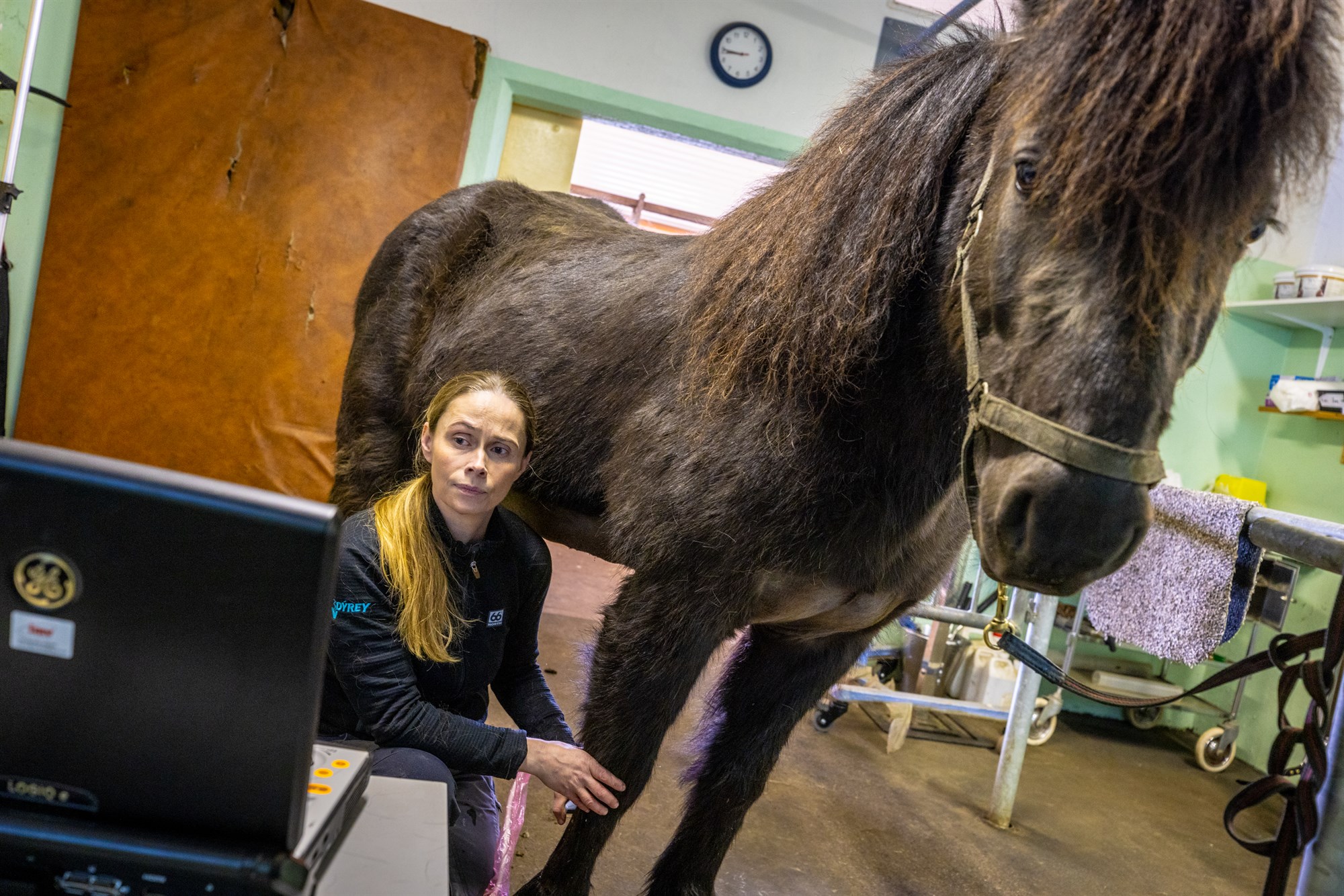 Þjónusta dýralækna á landsbyggðinni í uppnámi