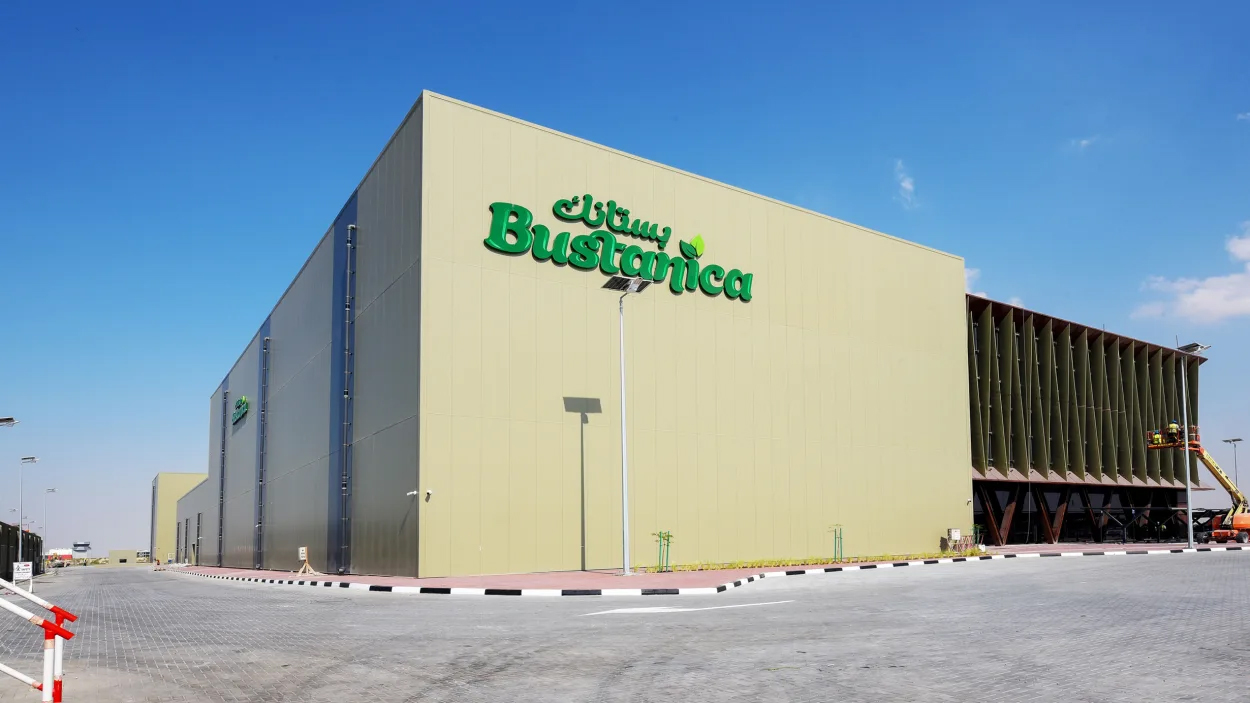 Framleiðir rúm 900 þúsund kíló af salati á ári